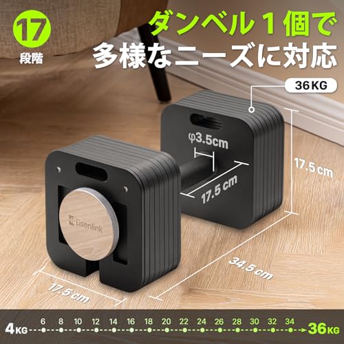 Amazon.co.jp: Eisenlink